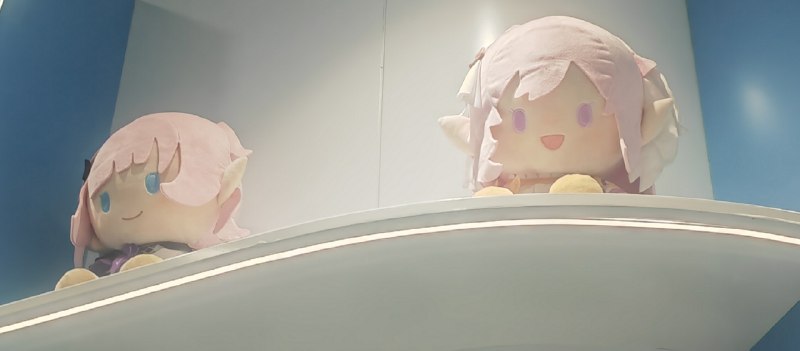 其实设定上我也去了）其实设定上我也去了）