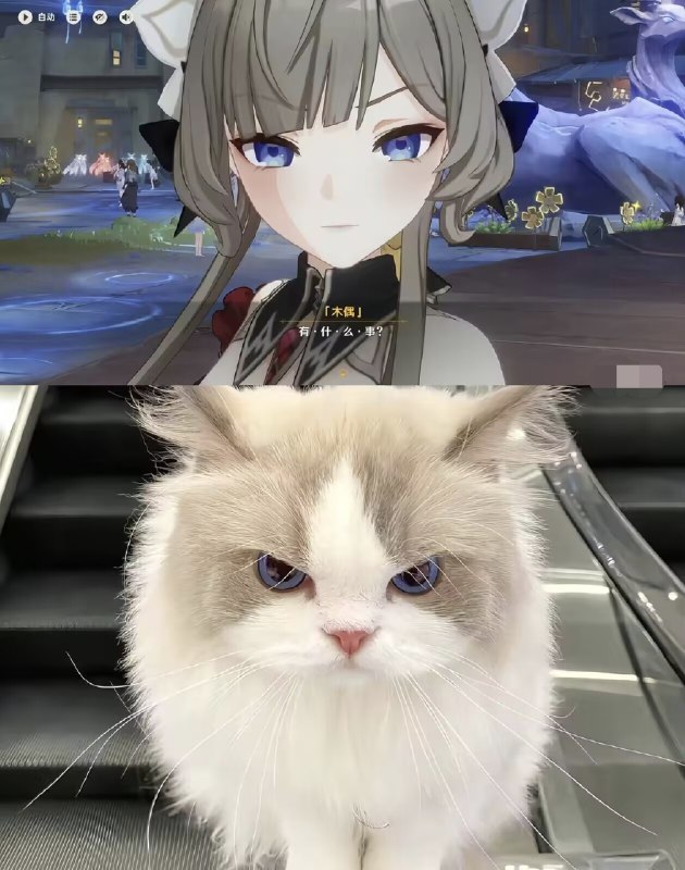 Cute Sandrone and neko